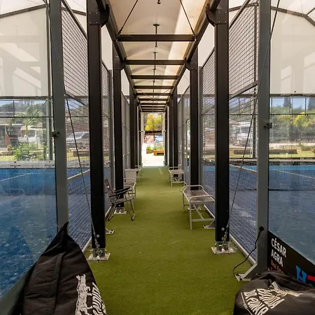 Holacamp 알부페이라