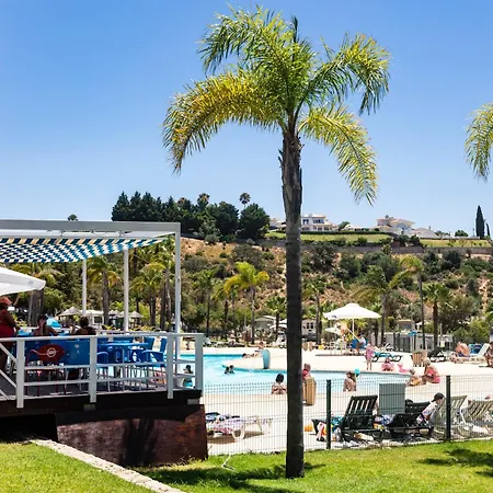 Holacamp * 알부페이라