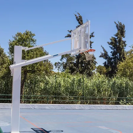 Holacamp 캠프장 *