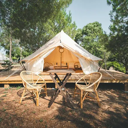 Holacamp 알부페이라