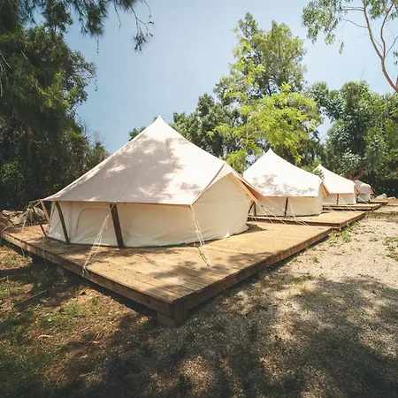 Holacamp *