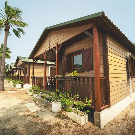 Holacamp 캠프장 *