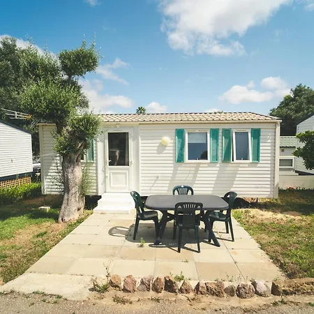 Holacamp * 알부페이라