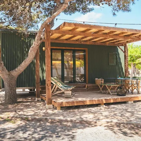 Holacamp אלבופיירה