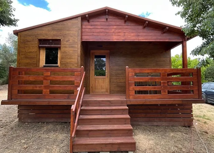 Holacamp البوفيرا