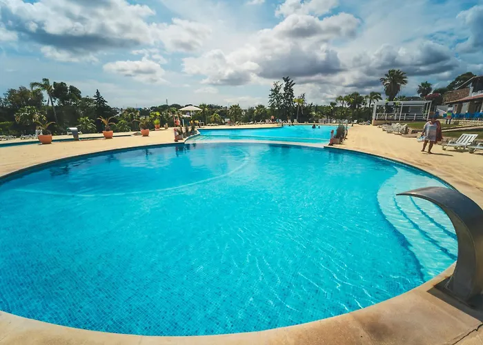 مكان تخييم Holacamp *