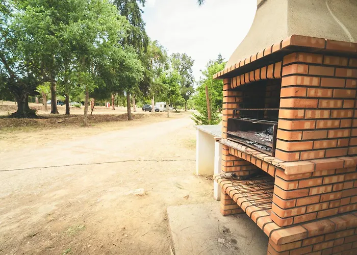 مكان تخييم Holacamp