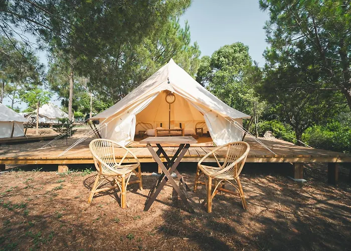 Holacamp البوفيرا