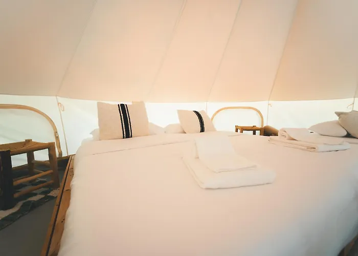 Holacamp البوفيرا