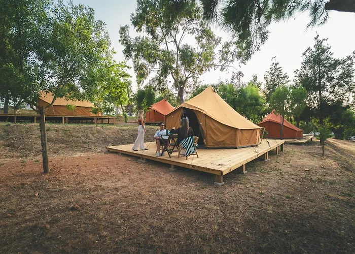 مكان تخييم Holacamp *