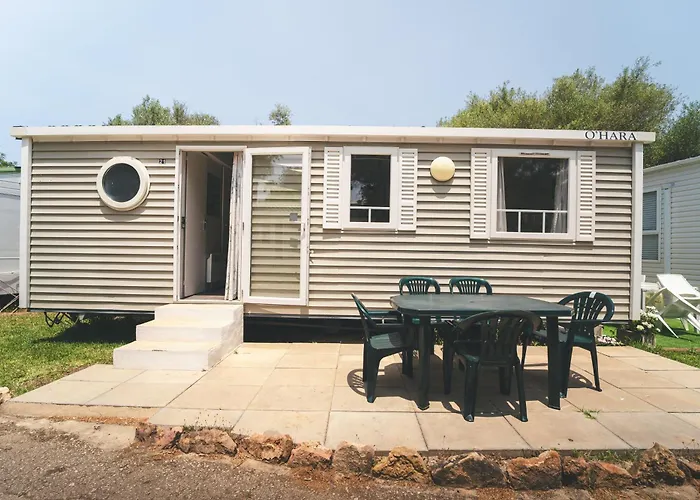 Holacamp * البوفيرا