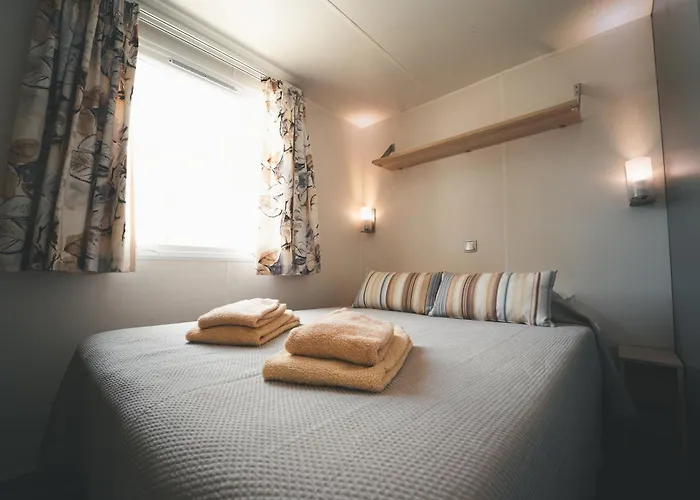 Holacamp * البوفيرا