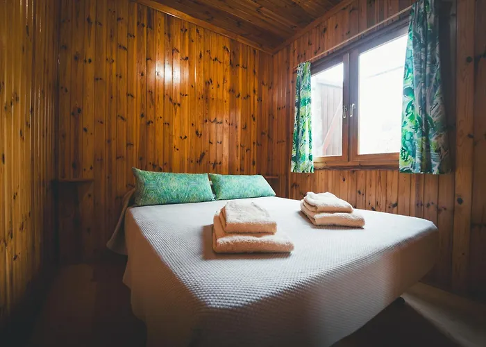 Holacamp مكان تخييم