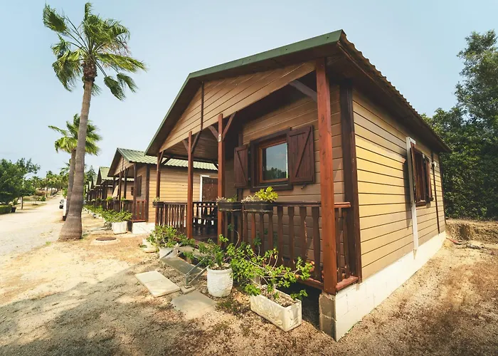 Holacamp مكان تخييم *