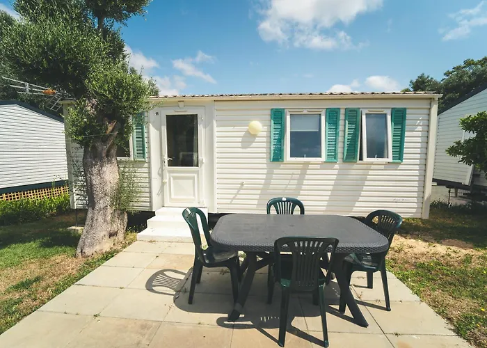 Holacamp مكان تخييم البوفيرا