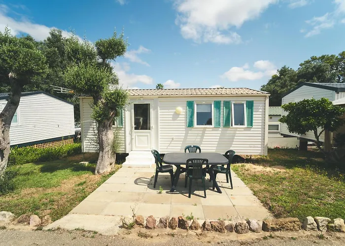 Holacamp * البوفيرا